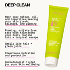 Pacifica Kale Detox Deep Cleansing Face Wash - Scented - 5 fl oz
