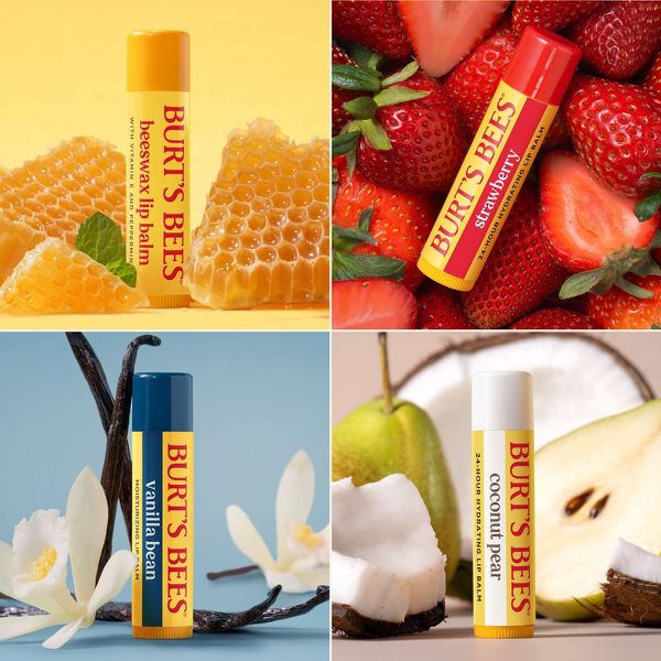 Burt's Bees 100% Natural Origin 24-Hour Moisturizing Lip Balm - Best of Burt's - 4pk