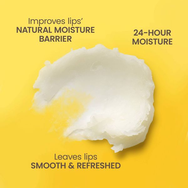 Burt's Bees Lip Balm - Garden Party Pack - 0.6oz/4ct