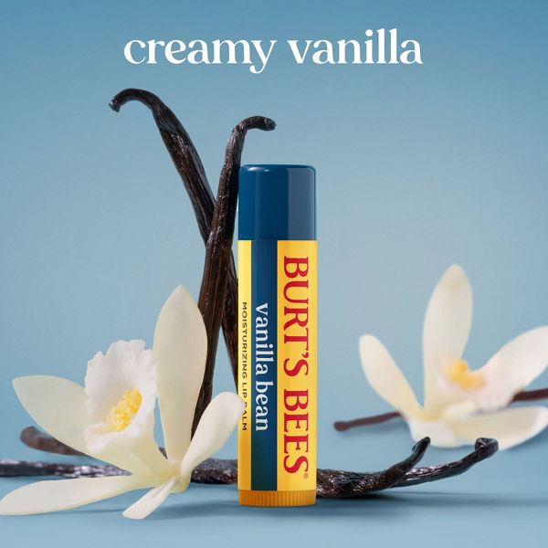Burt's Bees 100% Natural Origin 24-Hour Moisturizing Lip Balm - Vanilla Bean - 0.15oz​