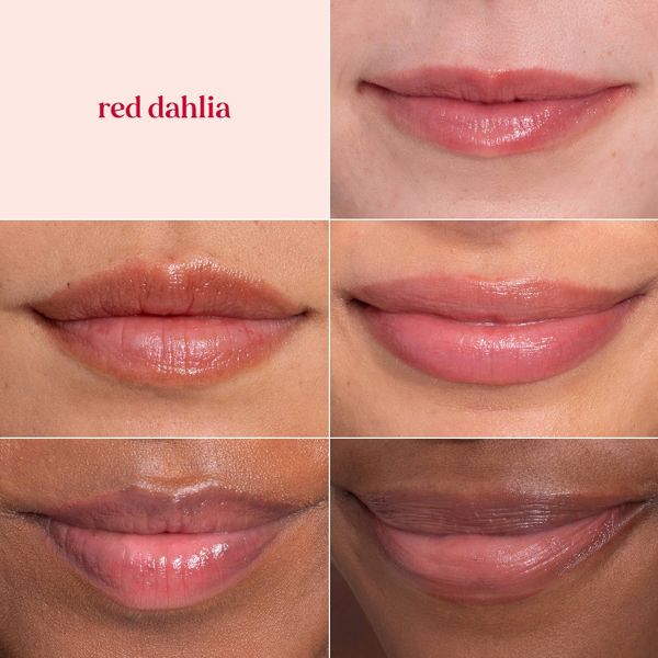 Burt's Bees Tinted Lip Balm - Red Dahlia - 0.15oz