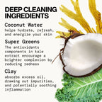 Pacifica Kale Detox Deep Cleansing Face Wash - Scented - 5 fl oz